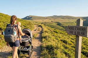 VAE Auxiliaire de Puériculture